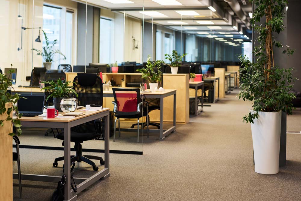 An image of an empty and clean office space